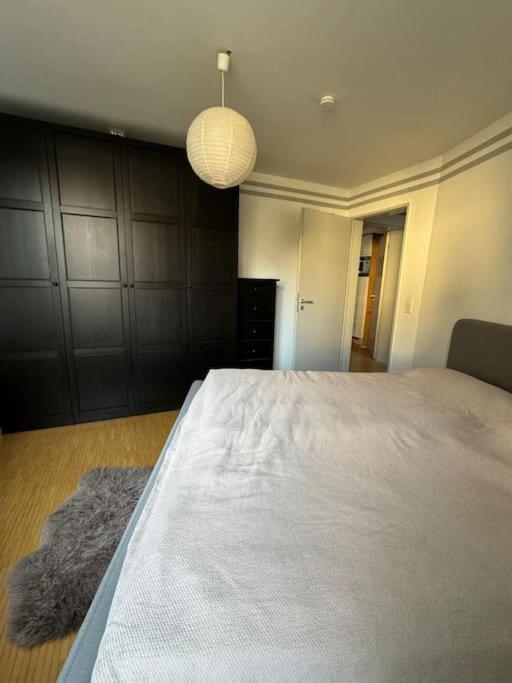 Gemuetliches Apartment Im Herzen Detmolds Eksteriør bilde