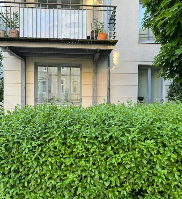 Gemuetliches Apartment Im Herzen Detmolds Eksteriør bilde