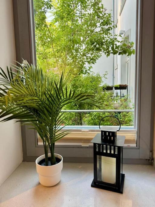 Gemuetliches Apartment Im Herzen Detmolds Eksteriør bilde